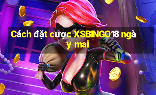 Cách đặt cược XSBINGO18 ngày mai