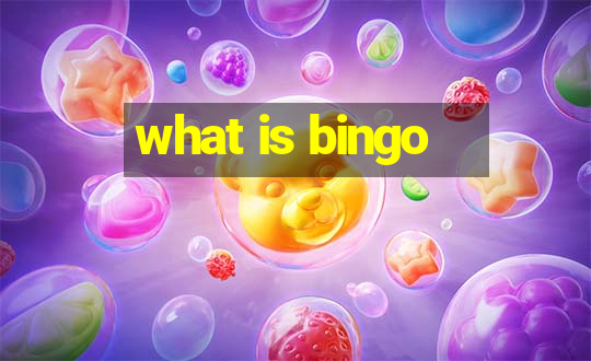 what is bingo