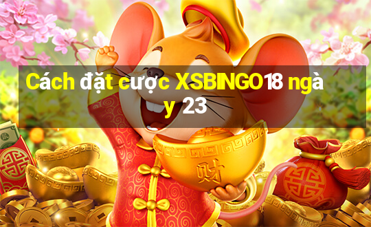 Cách đặt cược XSBINGO18 ngày 23