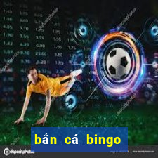 bắn cá bingo ông trùm