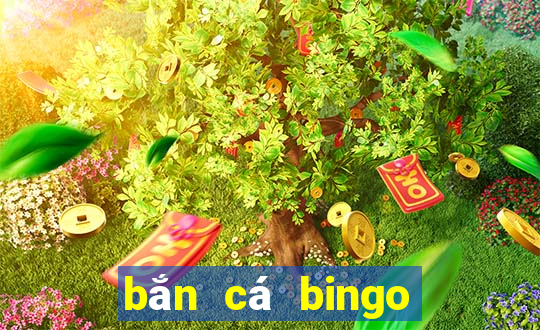 bắn cá bingo ông trùm