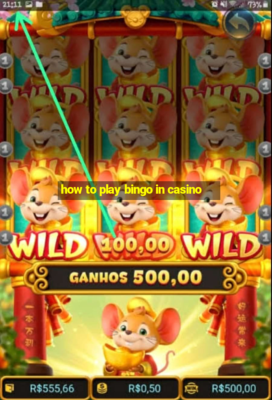 how to play bingo in casino