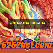 bingo nghĩa là gì