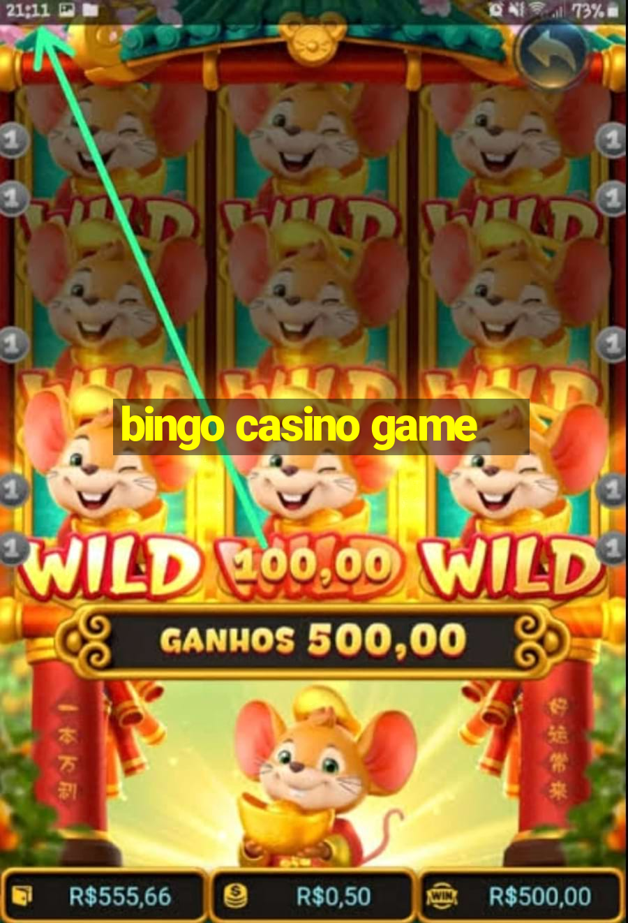 bingo casino game